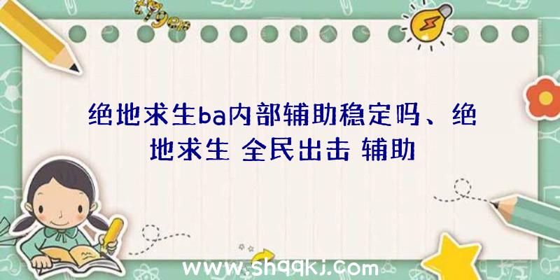 绝地求生ba内部辅助稳定吗、绝地求生